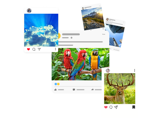 Why use Instagram Image Downloader?