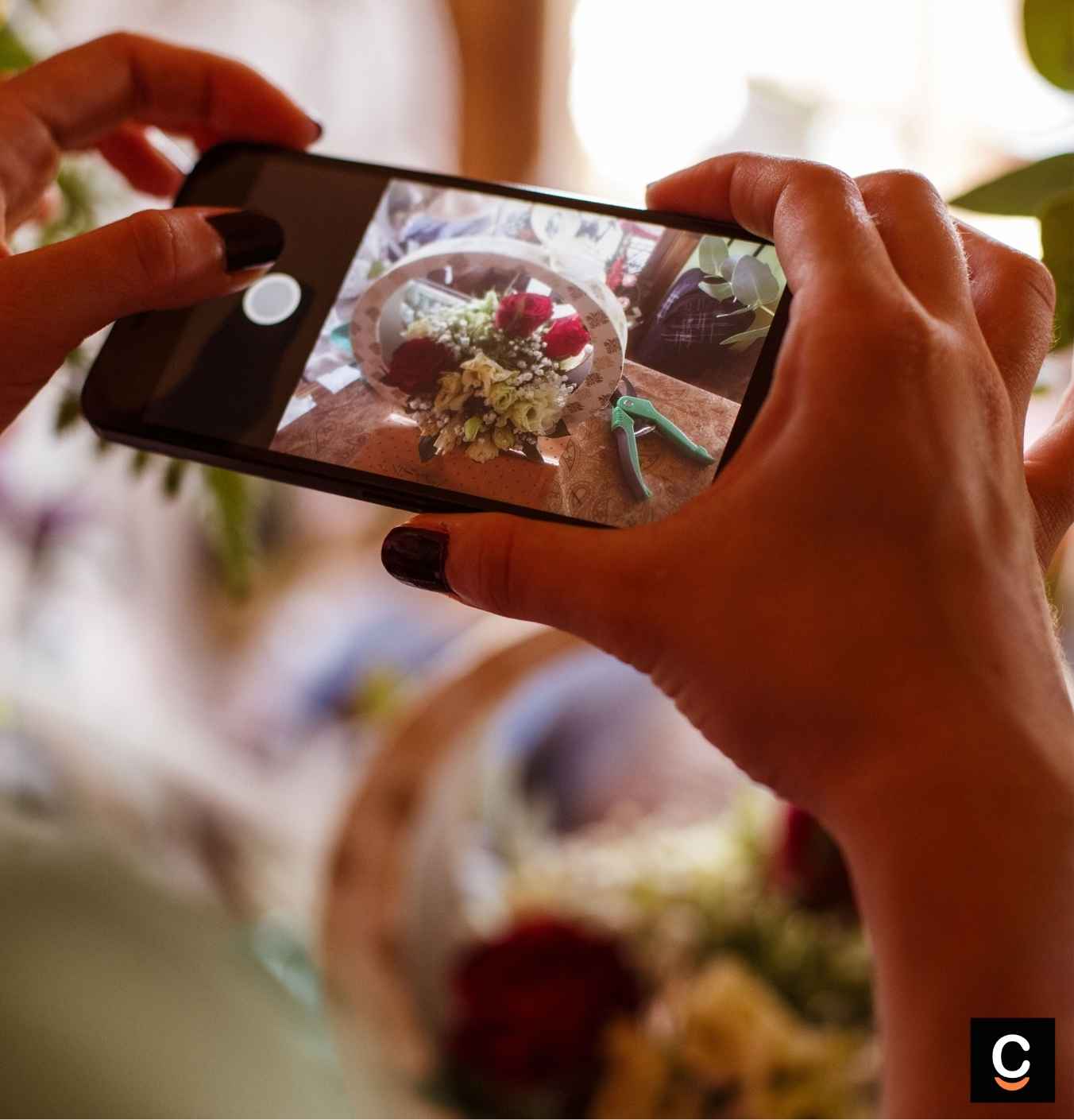 scanick privacy protection